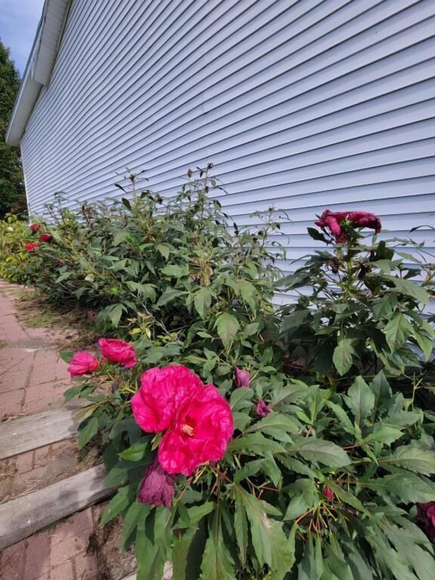 Vista Exterior Daniel's Motel