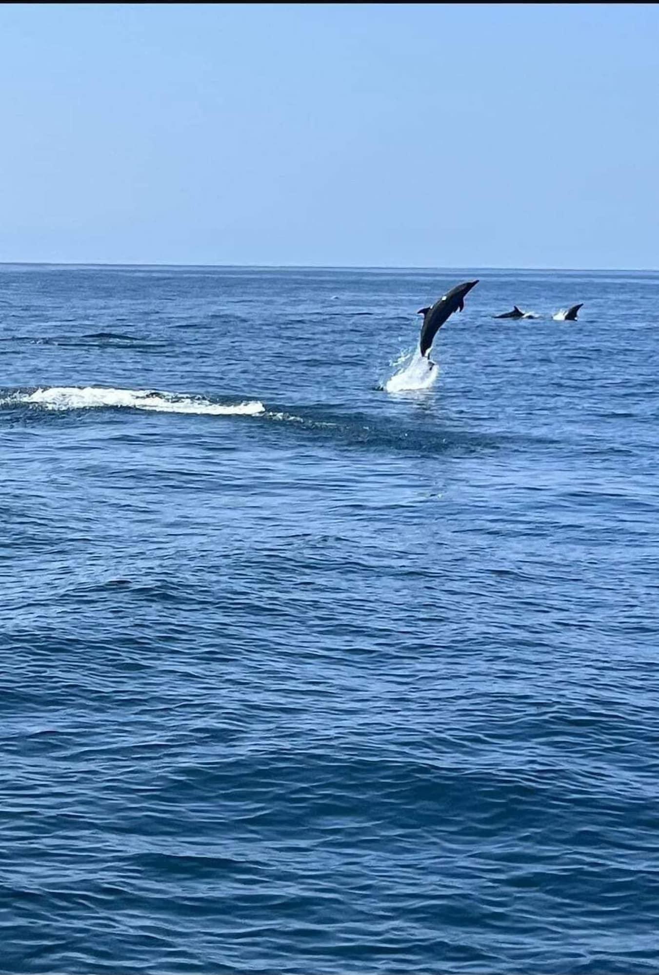 Instalaciones Recreativas Cocos Hotel