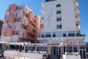 Alojamiento - Flamingo Beach