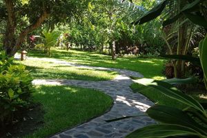 Alojamiento - Mango Tree Inn