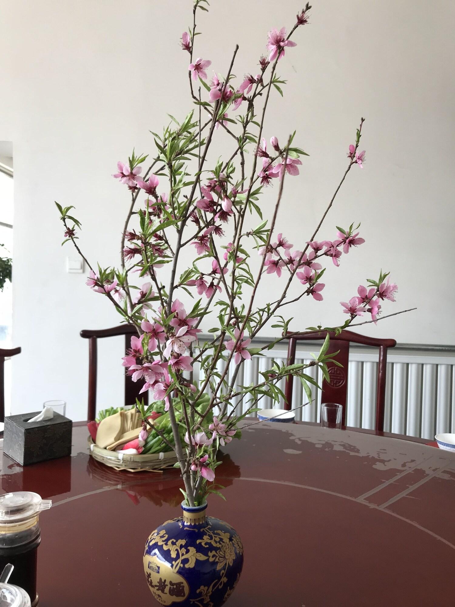 Restaurant Manhong's Private Courtyard