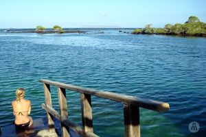 Actividad - Tour Concha Perla- Desde Isla Isabela