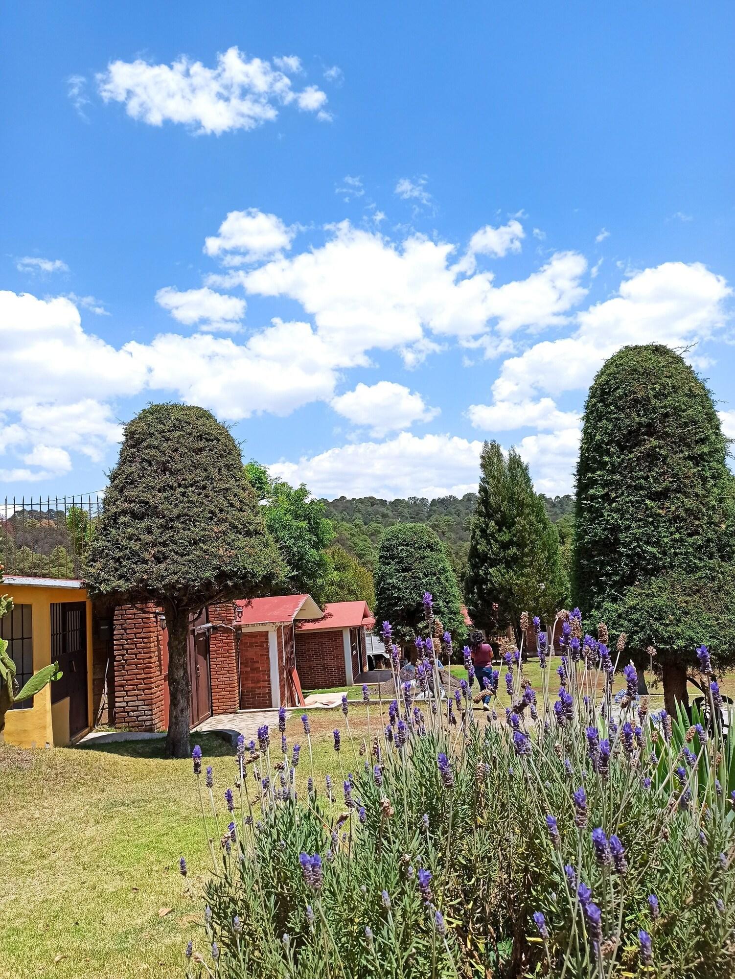 Varios Finca Marix, Villa de Carbón