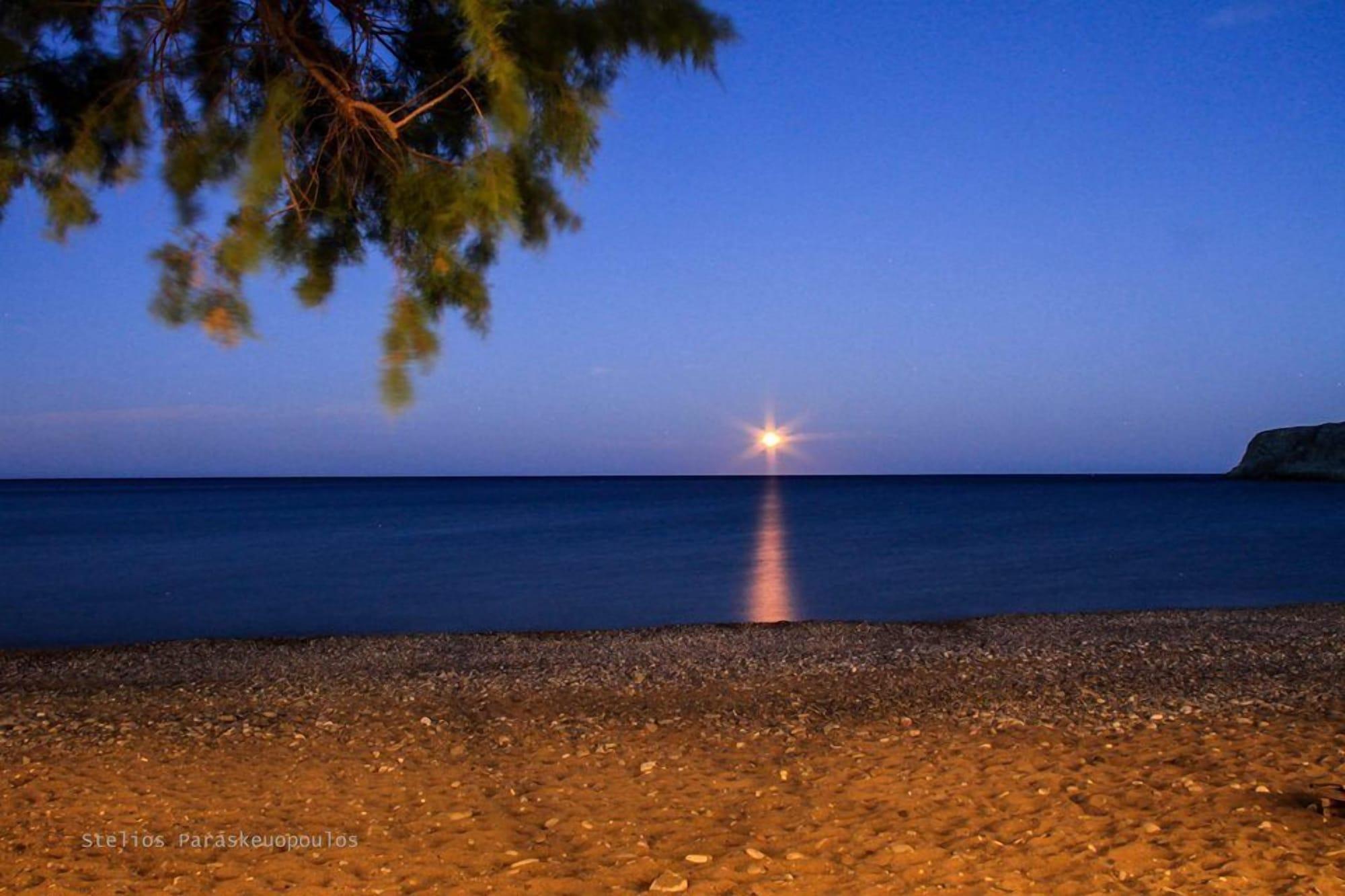 Playa Dimitra Apartments