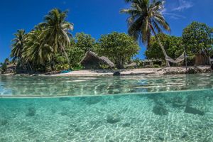Alojamiento - Le Coconut Lodge