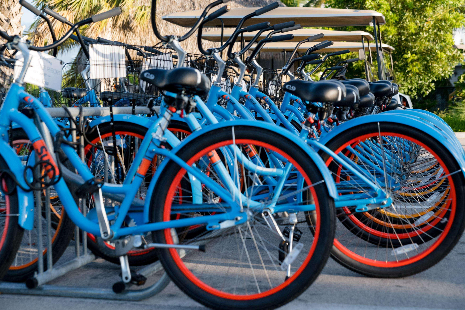 Instalaciones Recreativas Oceans Edge Resort & Marina, Key West