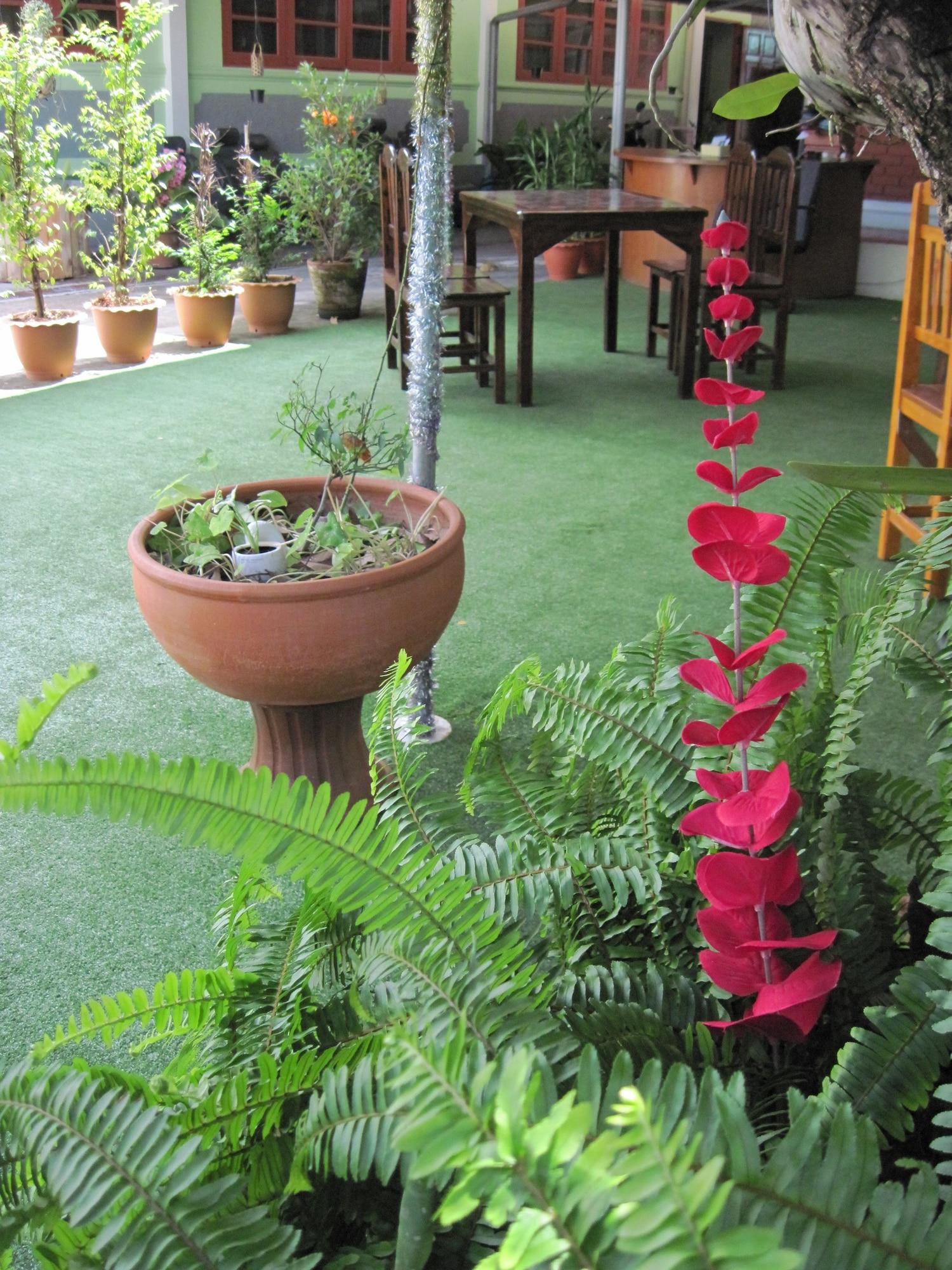 Vista Lobby Sakura House Chiangmai