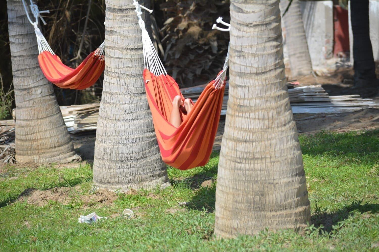 Vista Exterior Hotelier Home