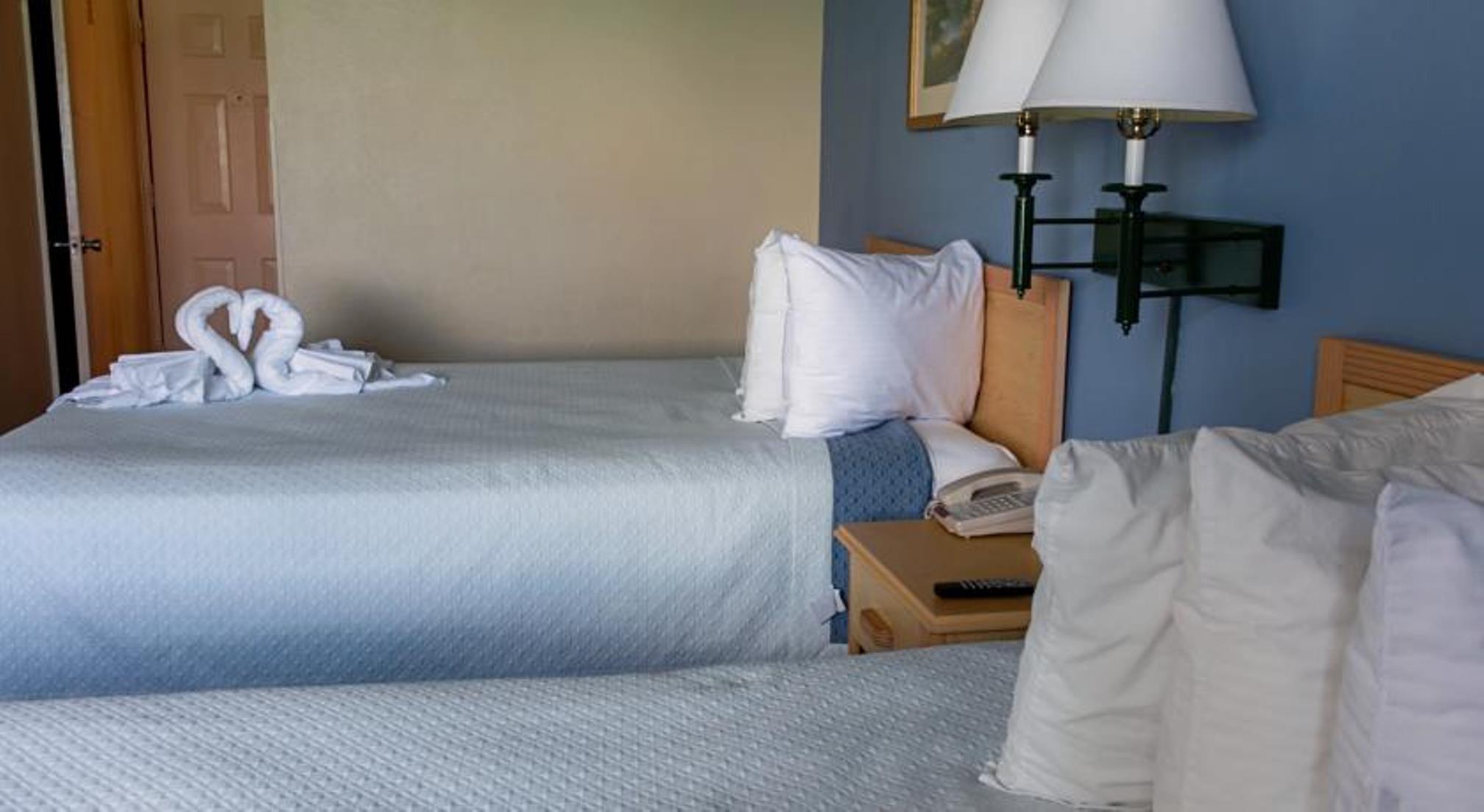 Hotel Lexington Hotel - Miami Beach