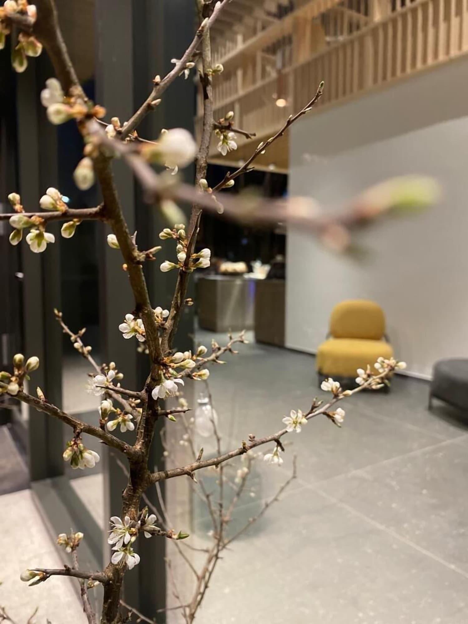 Vista Lobby Pira Hotel