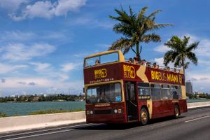 Actividad - Auto bus Turistico Con techo descubuerto en Miami