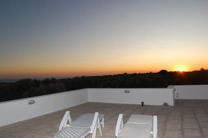 Alquiler Vacacional - Sea view villa set in a sea of ??... olive