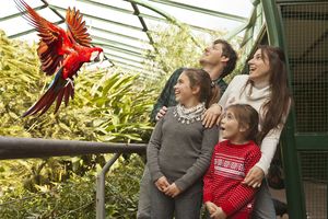 Actividad - Bioparque Temaiken