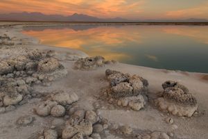 Actividad - Laguna Cejar: Flotando en el Desierto de Atacama