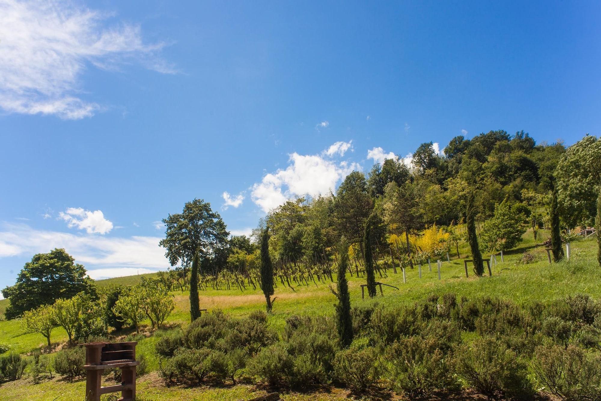 Comodidades del Alojamiento Agriturismo Il Cavicchio