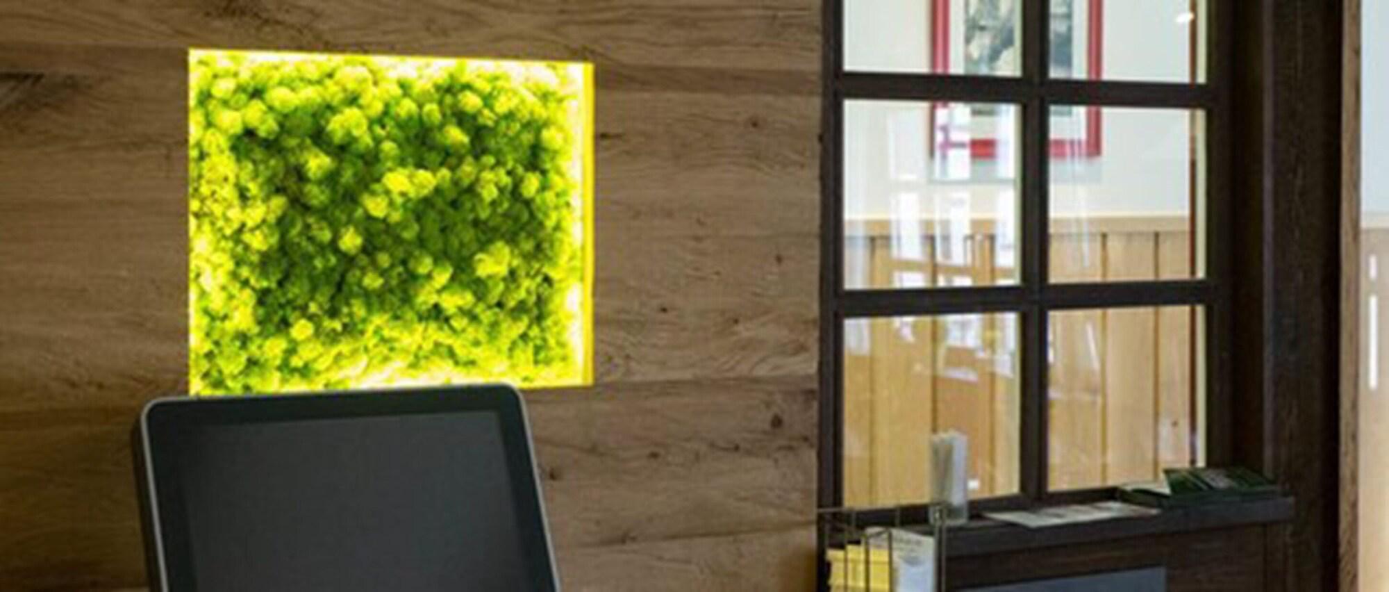 Vista Lobby Hotel Schneider