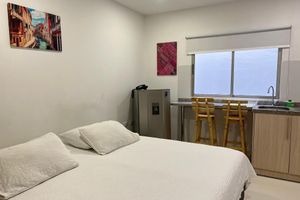 Alquiler Vacacional - Lagos Apartaestudios x4