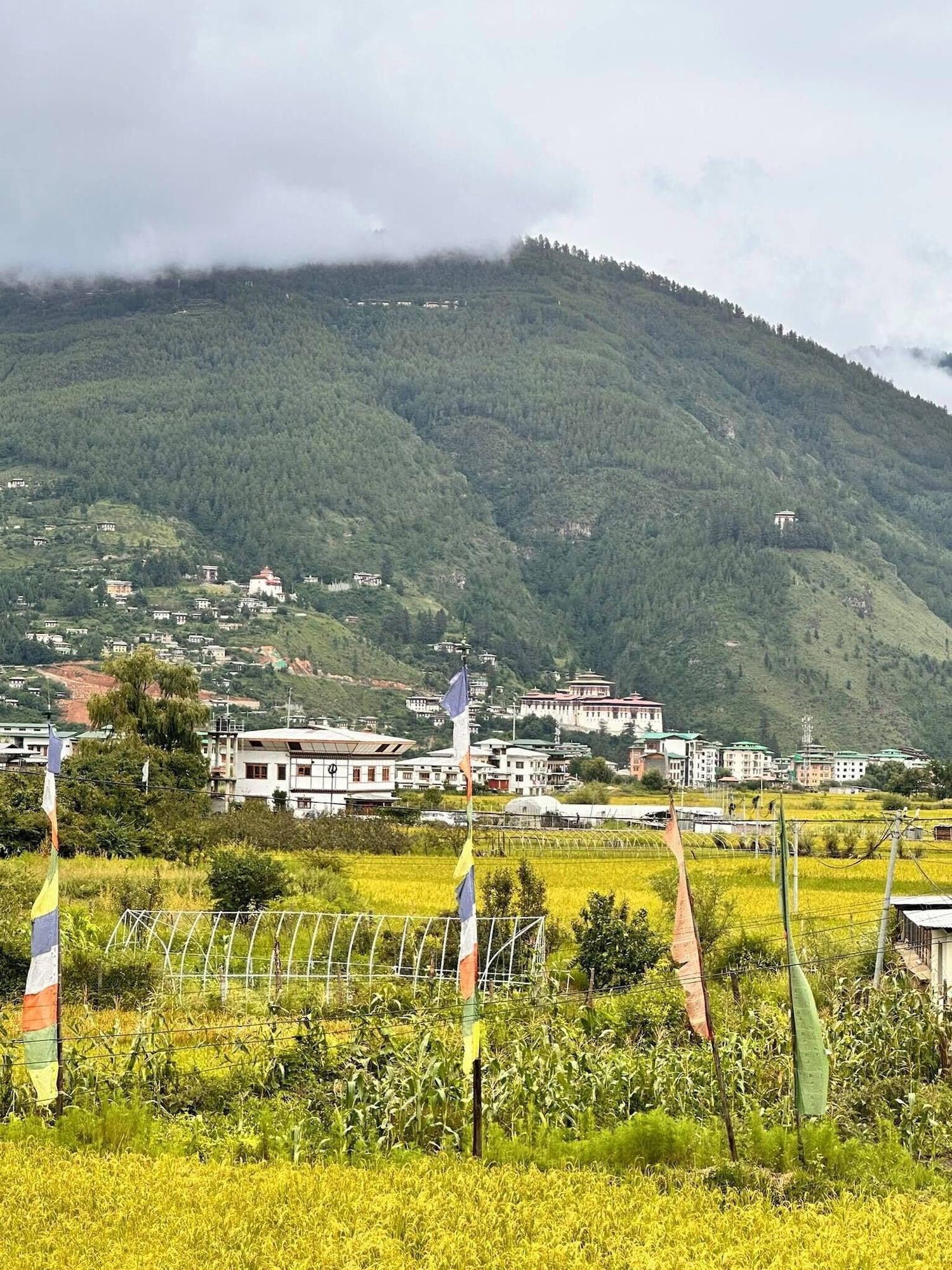 Instalaciones Recreativas Paro Eco-Nest Resort