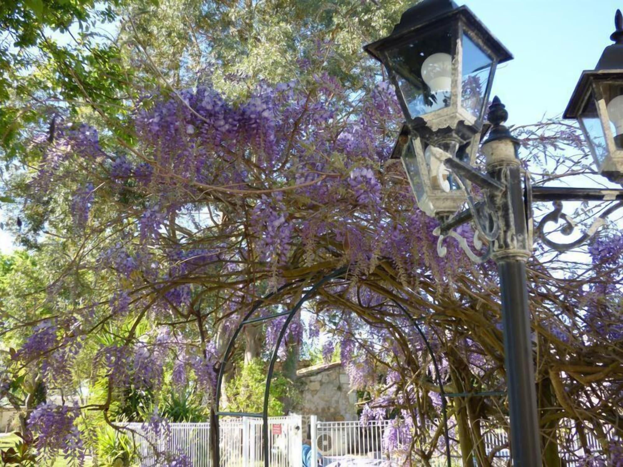 Vista Exterior Le Coeur des Vignes