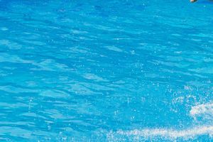 Activity - Mundomar Tickets
