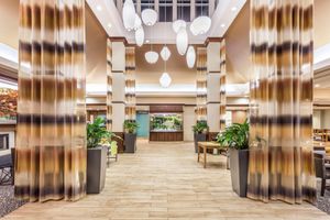 Alojamiento - Hilton Garden Inn Gainesville