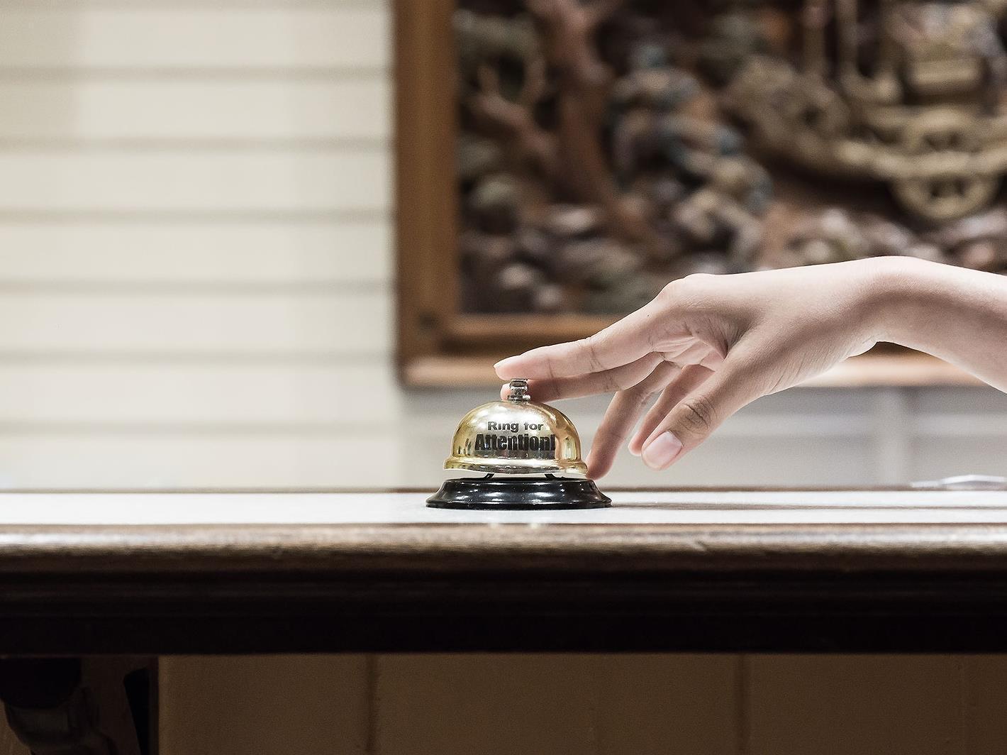 Vista Lobby Buddy Lodge