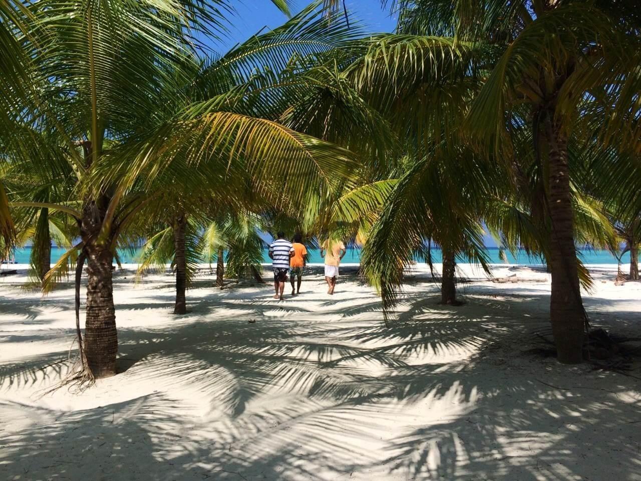 Vista Exterior Cerulean View Residence