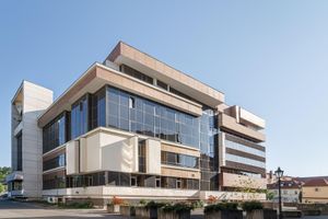 Alojamiento - The President