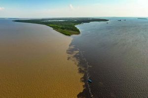 Actividad - Excursión al Encuentro de las Aguas + Comida en un restaurante flotante