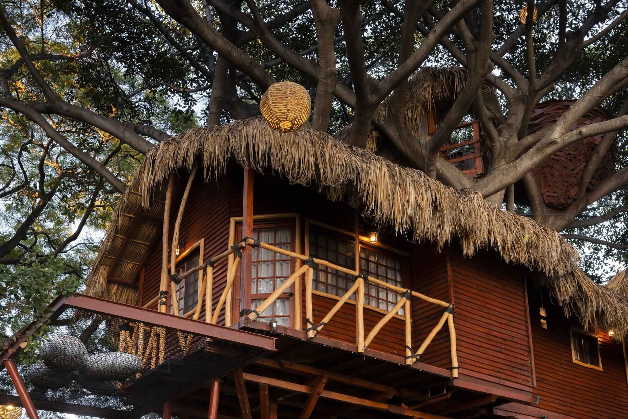Vista Exterior Nido Ecoluxury Treehouse - Casa de Arbol