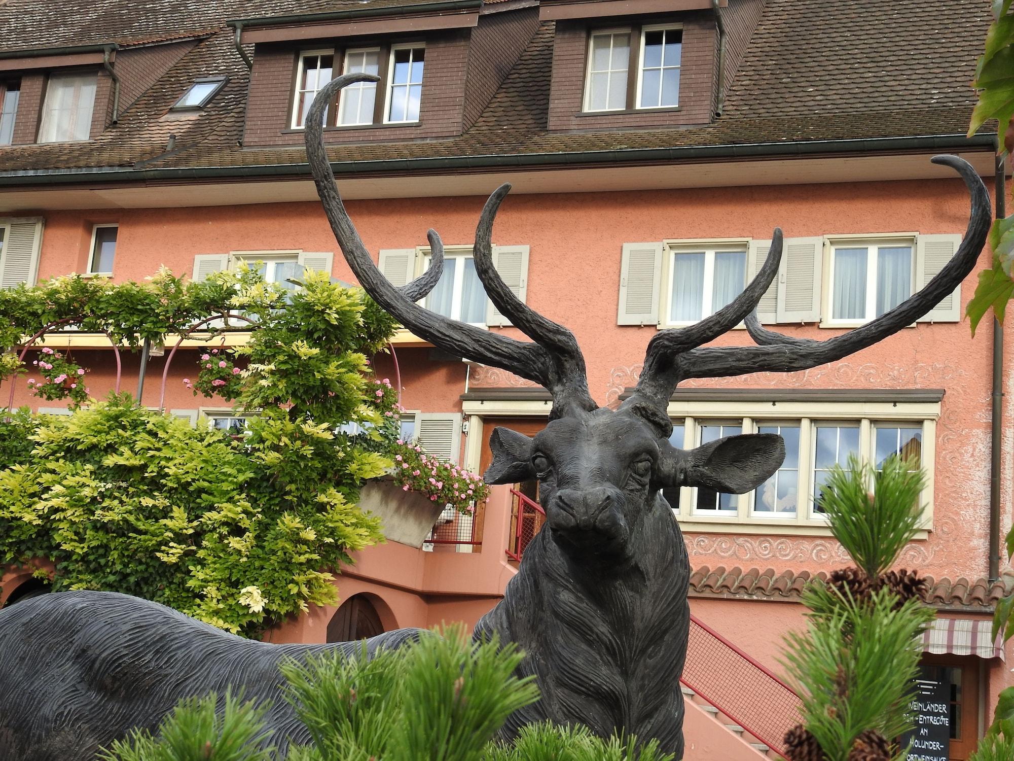 Vista Exterior Landhotel Hirschen