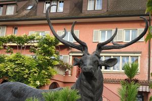 Alojamiento - Landhotel Hirschen