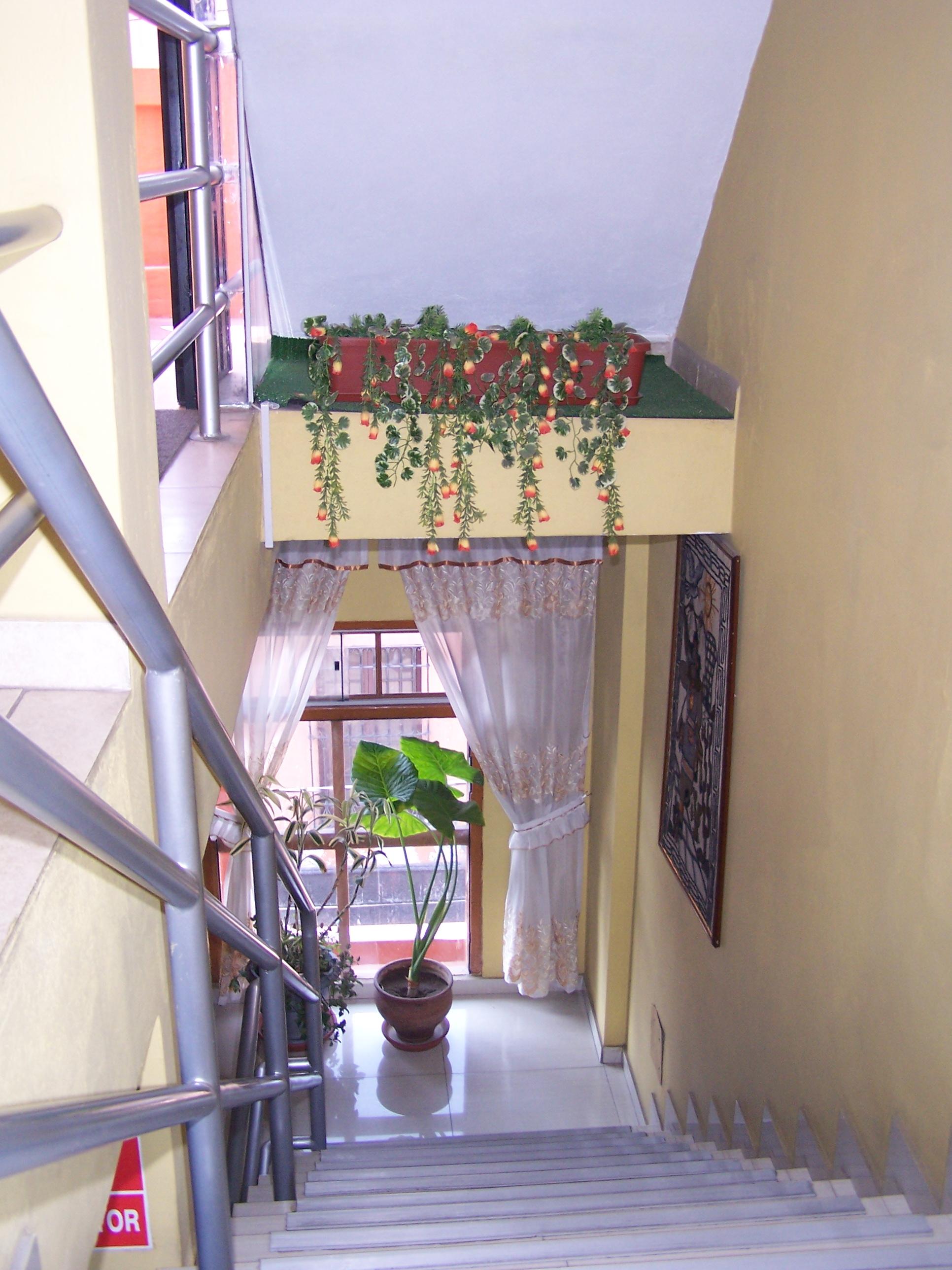 Variados (as) Casa de Isabel