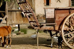 Alquiler Vacacional - La Cabane - La Ferme du Château