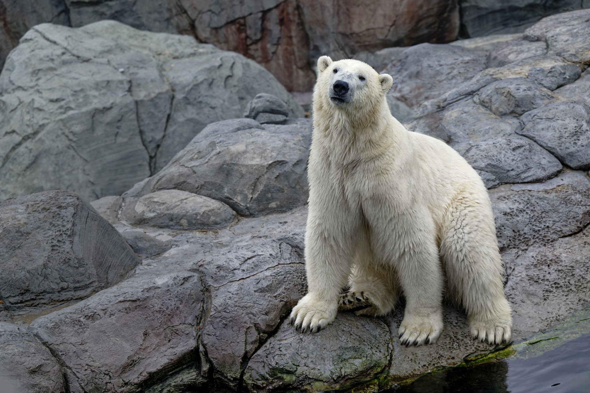 Instalaciones Recreativas Holiday Inn Express & Suites Calgary NW - University Area by IHG