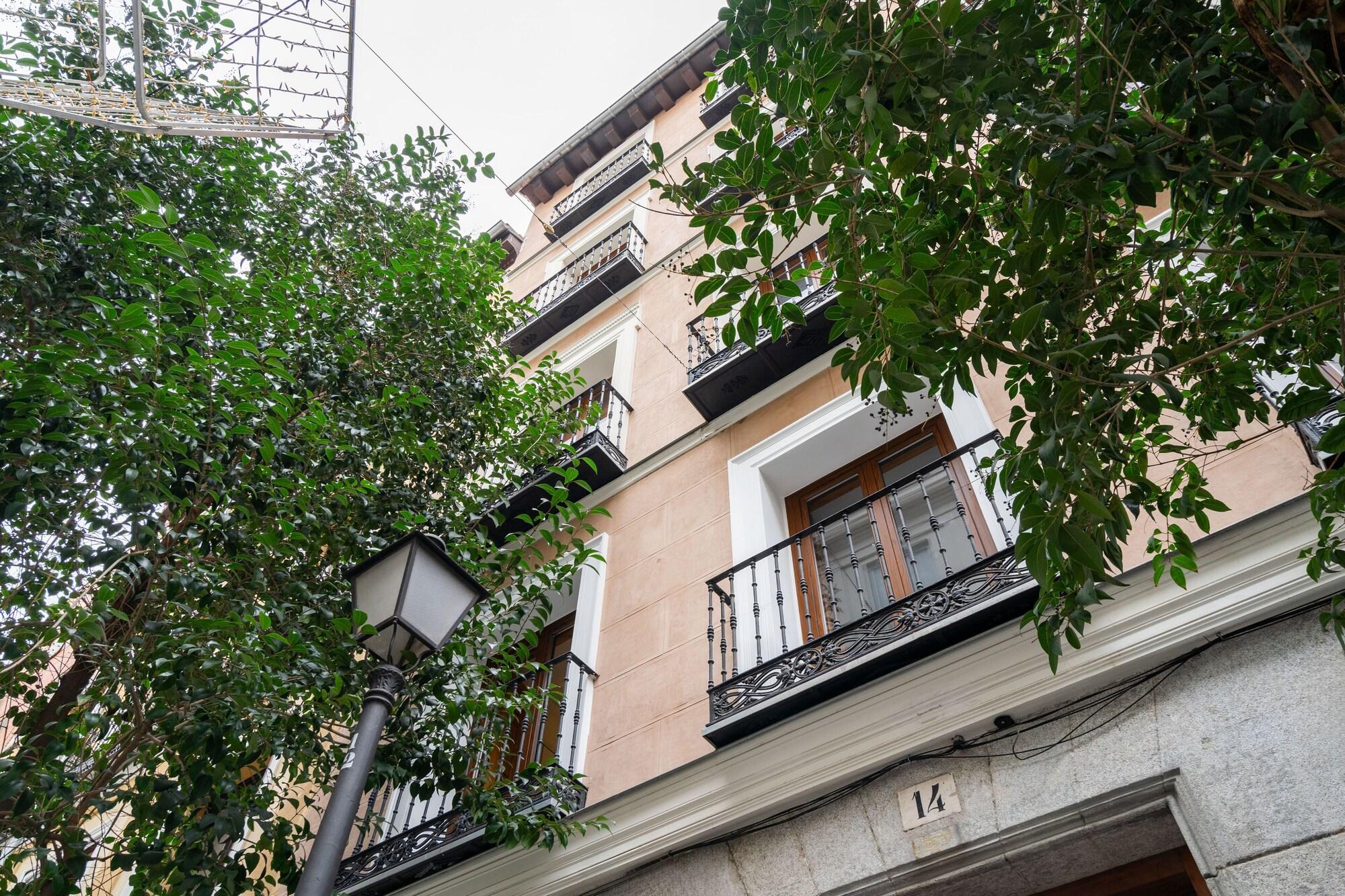 Varios Dobo Madrid Luna