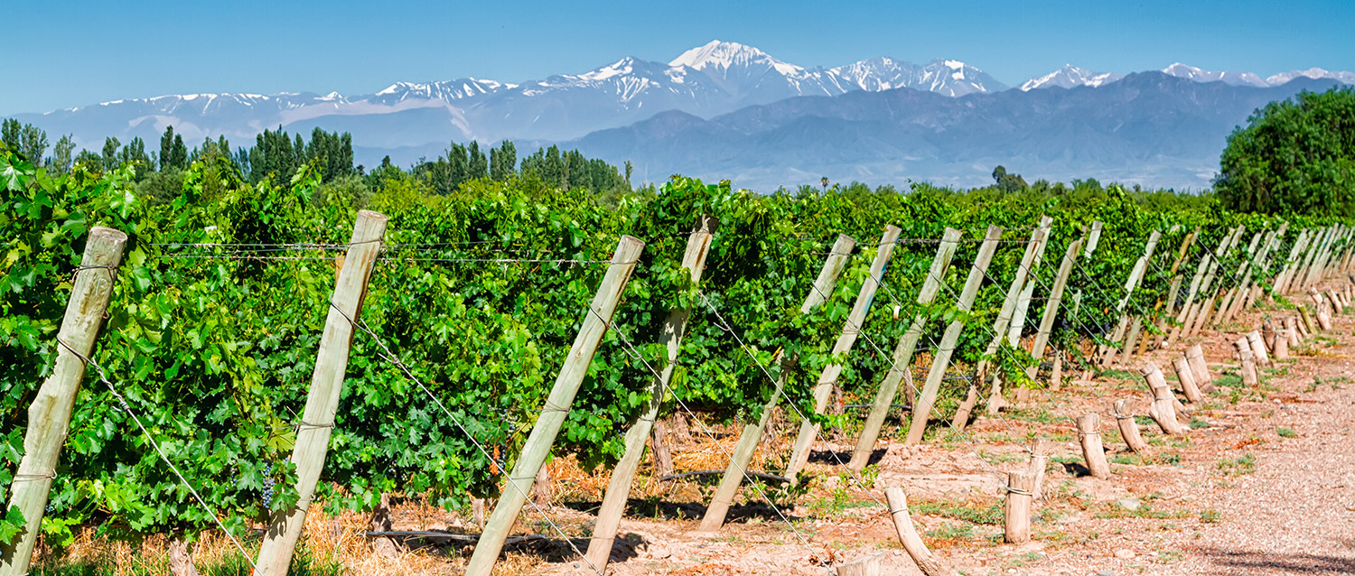 Mendoza