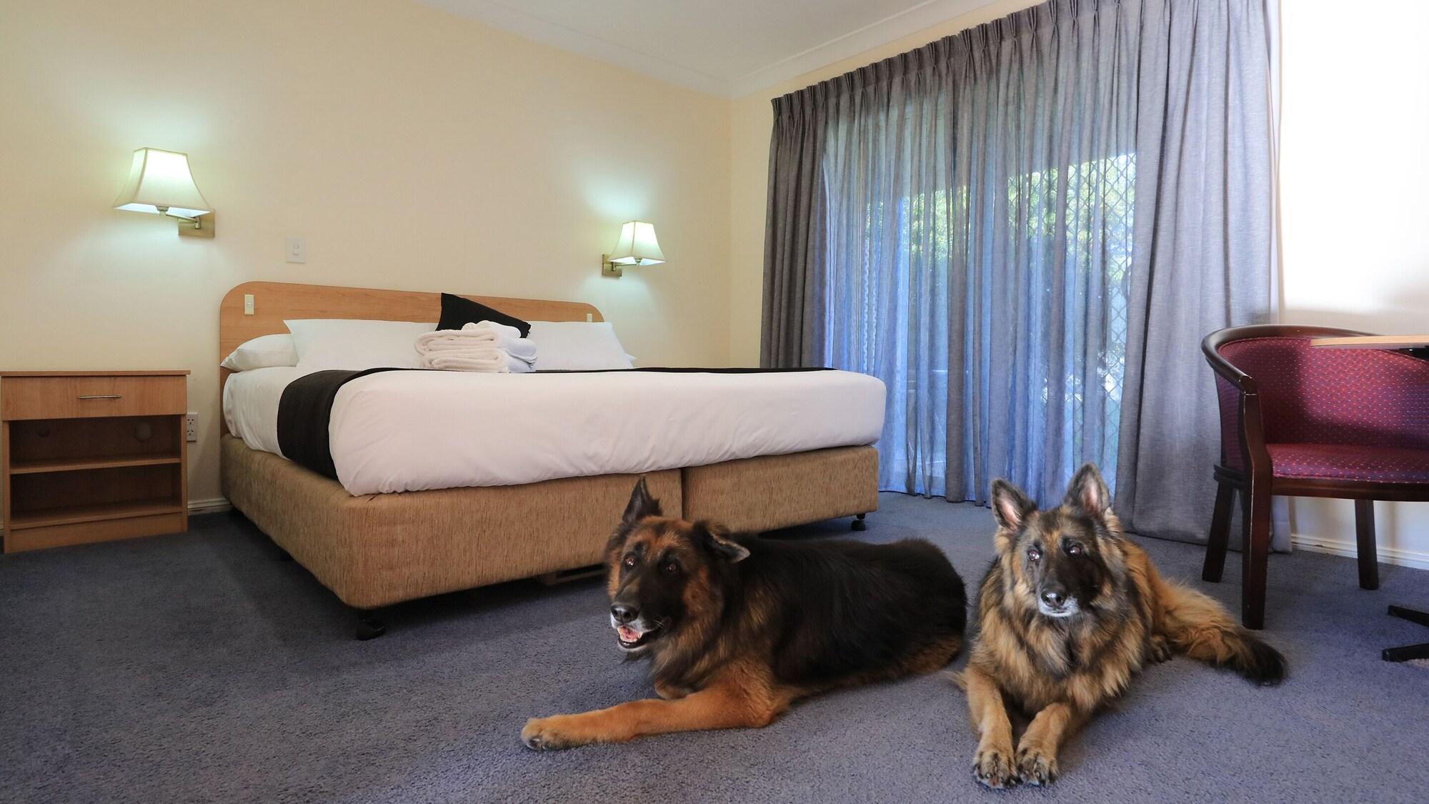 Habitación Bushmans Motor Inn