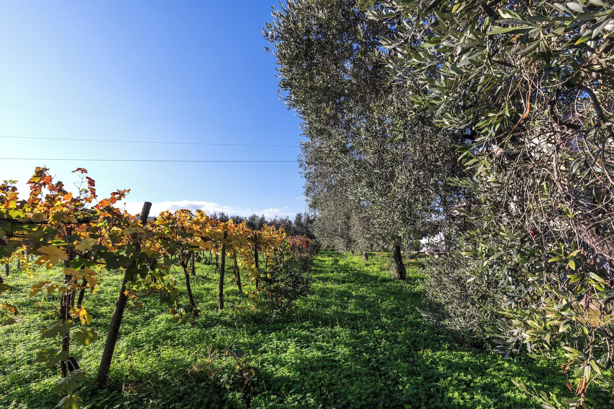 Vista Exterior Agriturismo Posta Pastorella