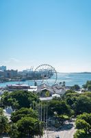 Alojamiento - The Elser Hotel Miami