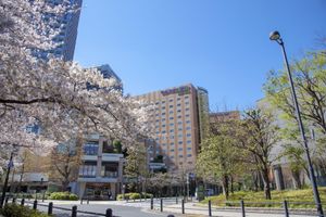 Alojamiento - Hotel Metropolitan Edmont Tokyo