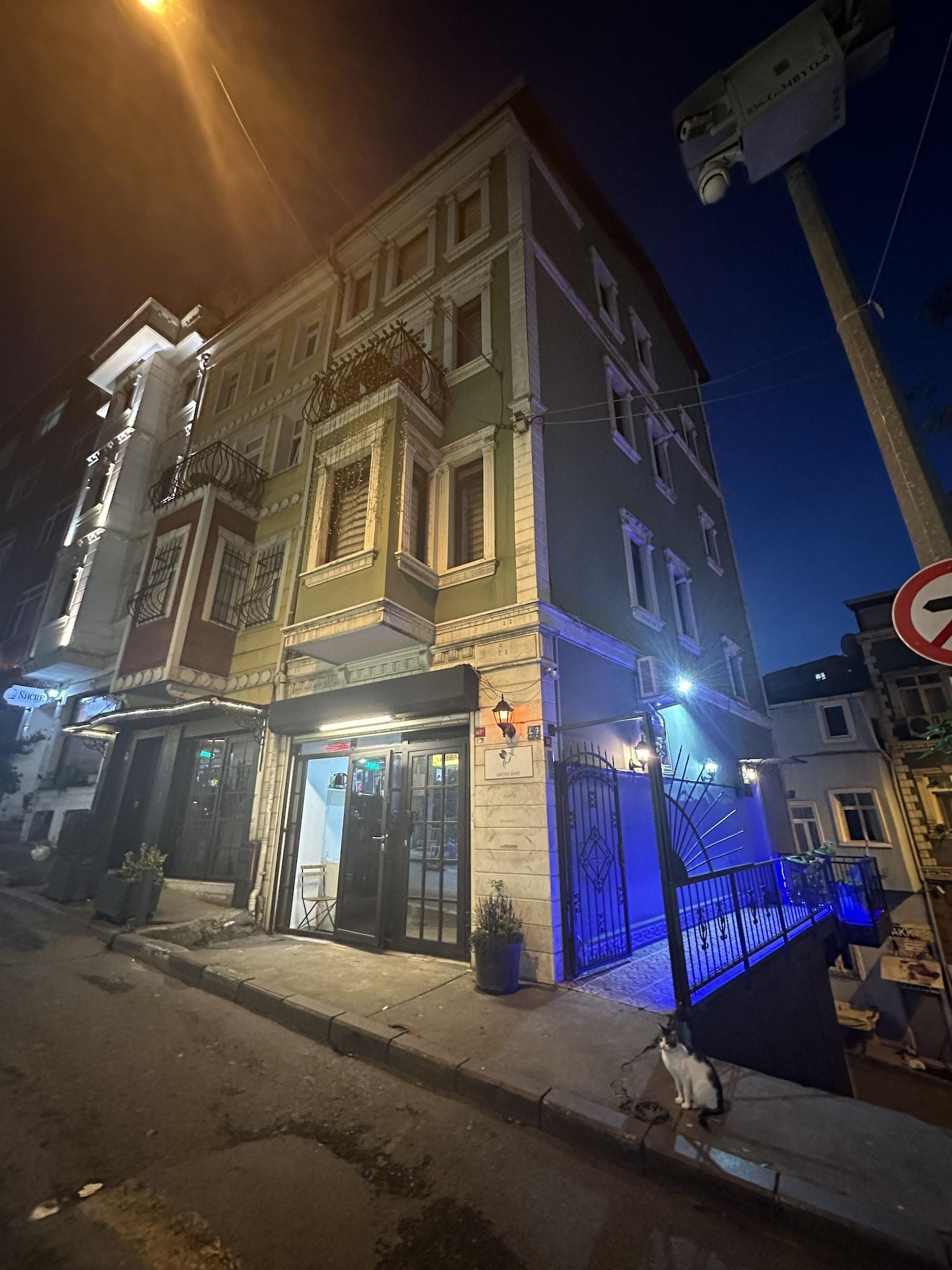 Vista Exterior Green Bird Suit