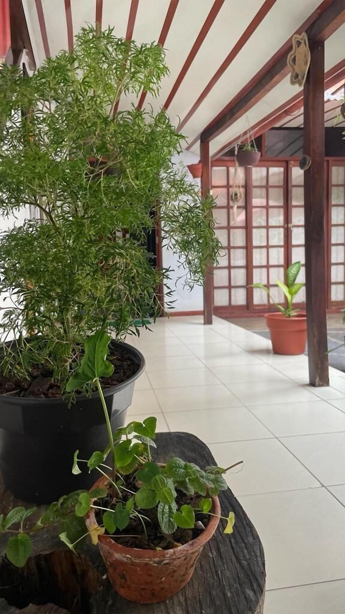 Comodidades del Alojamiento Casa Amazonica Iquitos