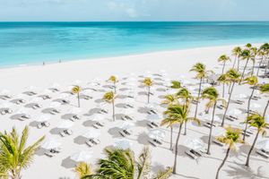 Alojamiento - Bucuti & Tara Beach Resort - Adults Only