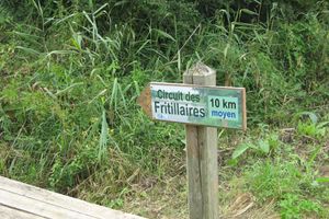 Alojamiento - Les Aires en Scènes