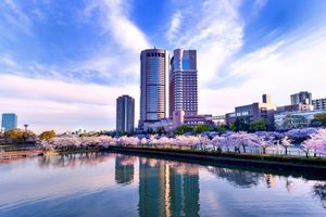 Alojamiento - Imperial Hotel Osaka