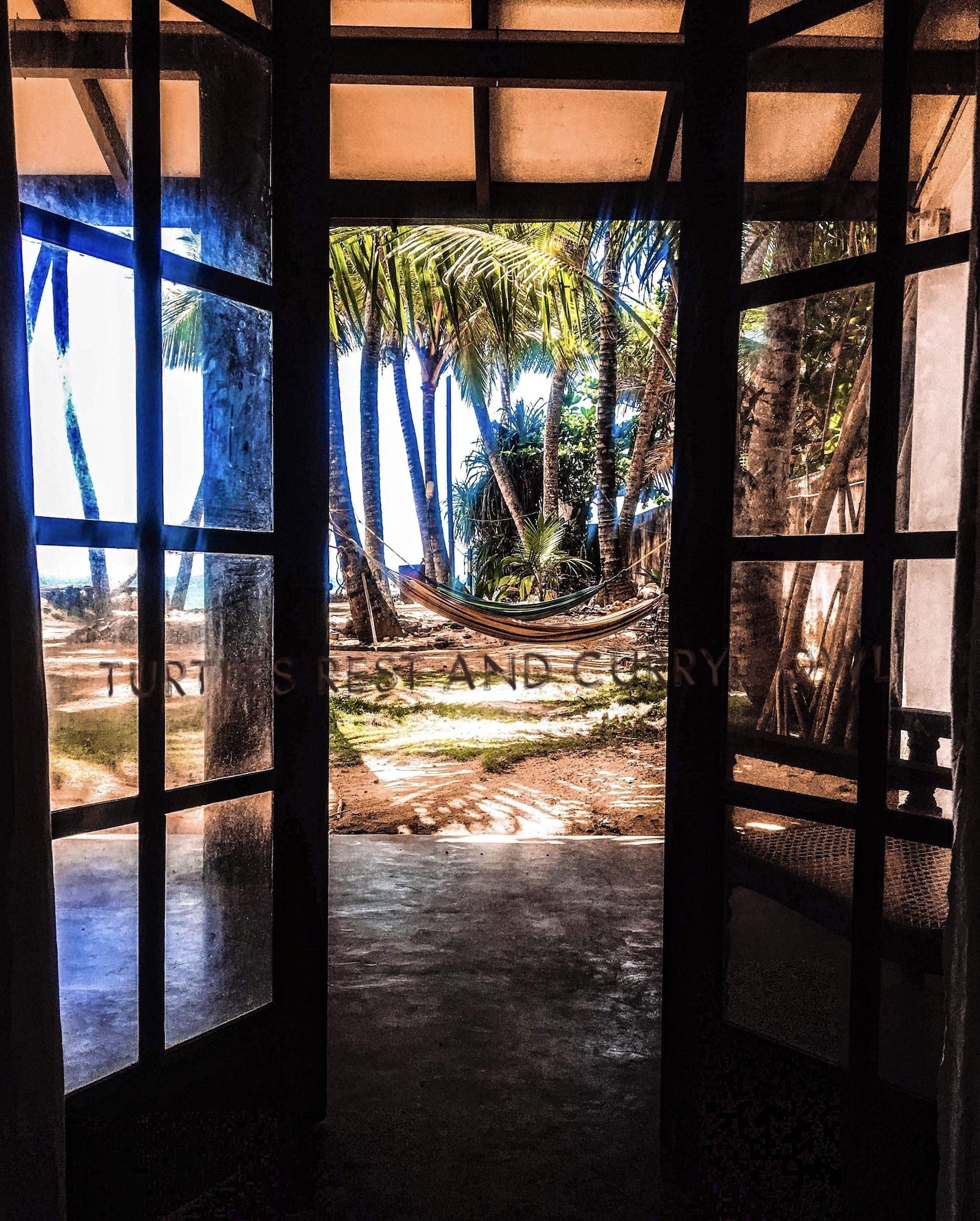 Playa Turtles Rest and Curry Bowl