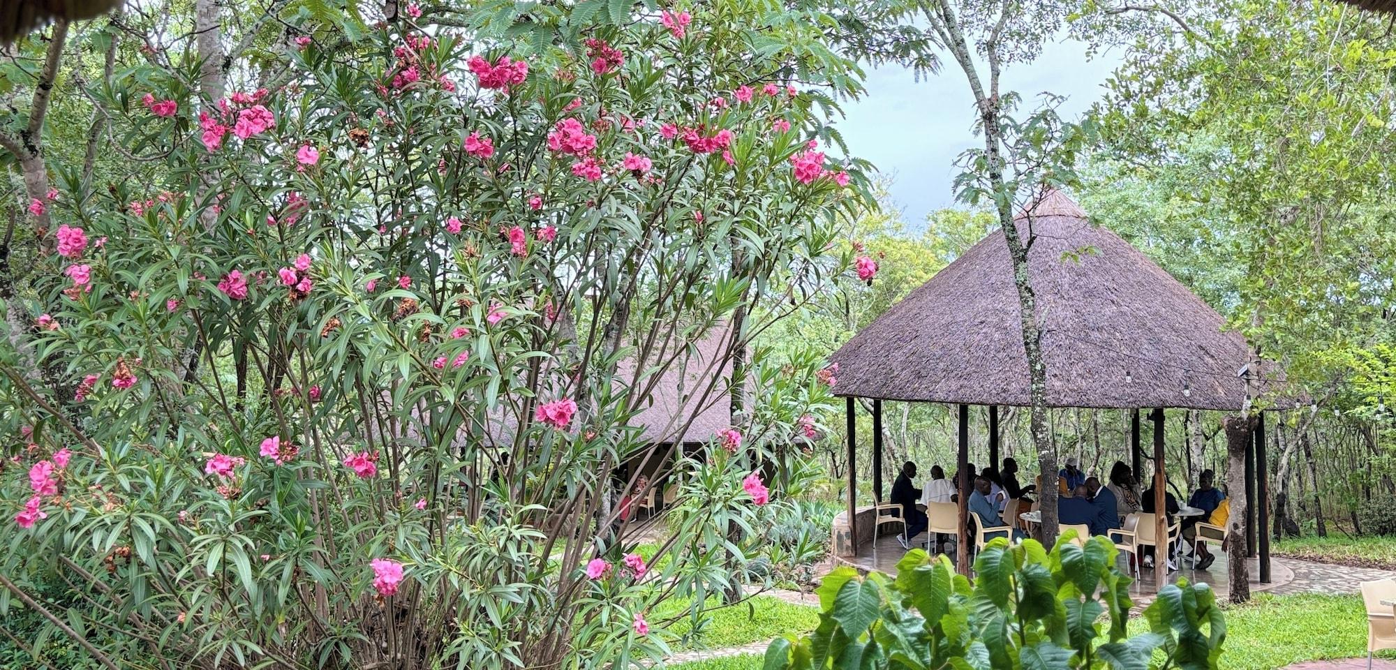 Restaurant Musangano Lodge