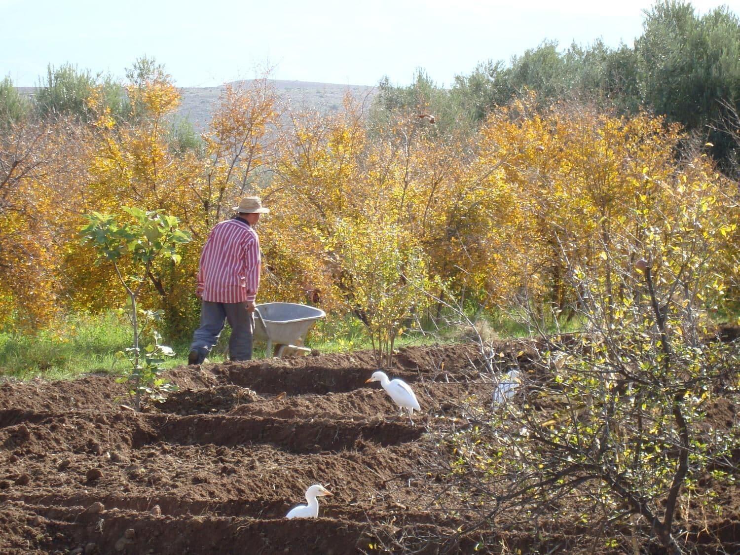 Habitación Jnane Tihihit