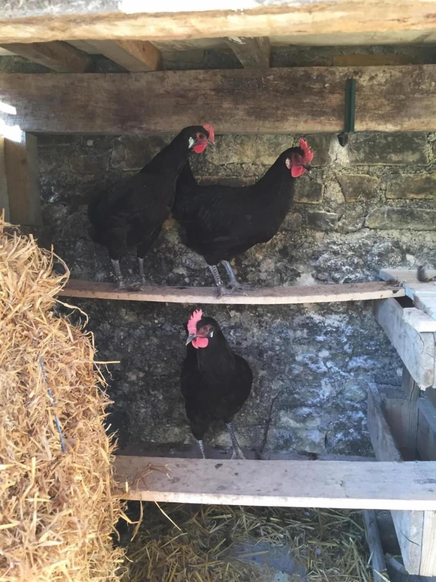 Vista Lobby Les Hauts de Chalonne